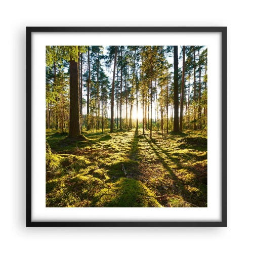 Poster in cornice nera - …dopo sette foreste - 50x50 cm