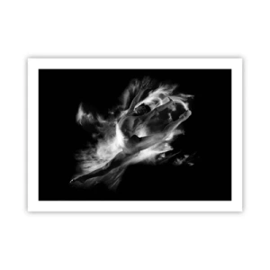 Poster - Fermo in volo - 70x50 cm