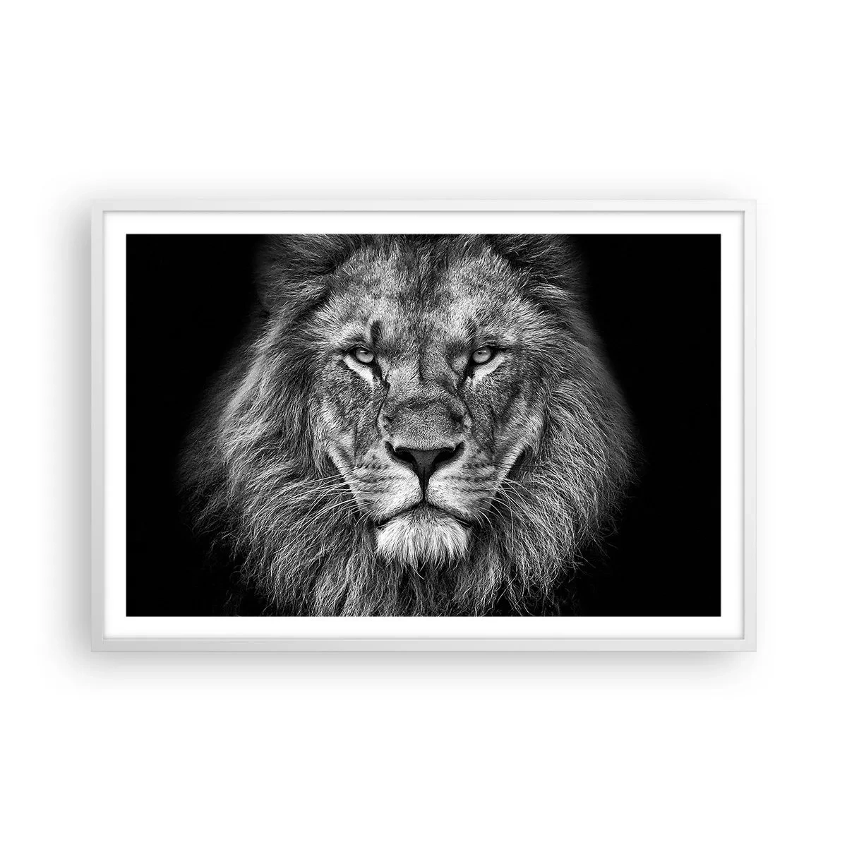 Poster in cornice bianca - Nell'abito dell'incoronazione - 91x61 cm