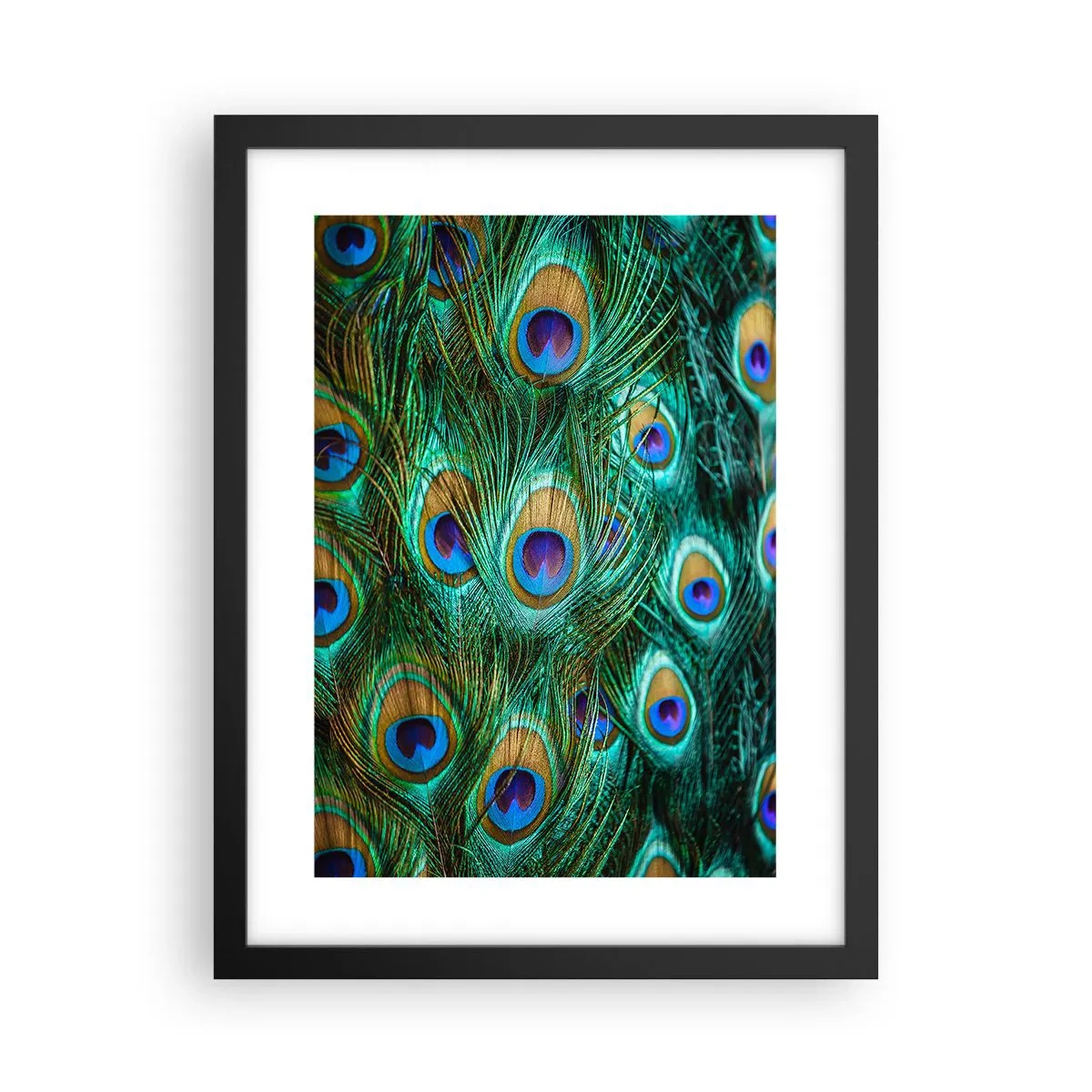 Poster in cornice nera - Lo sguardo del pavone - 30x40 cm