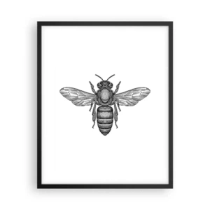 Poster in cornice nera - Ritratto d'insetto - 40x50 cm