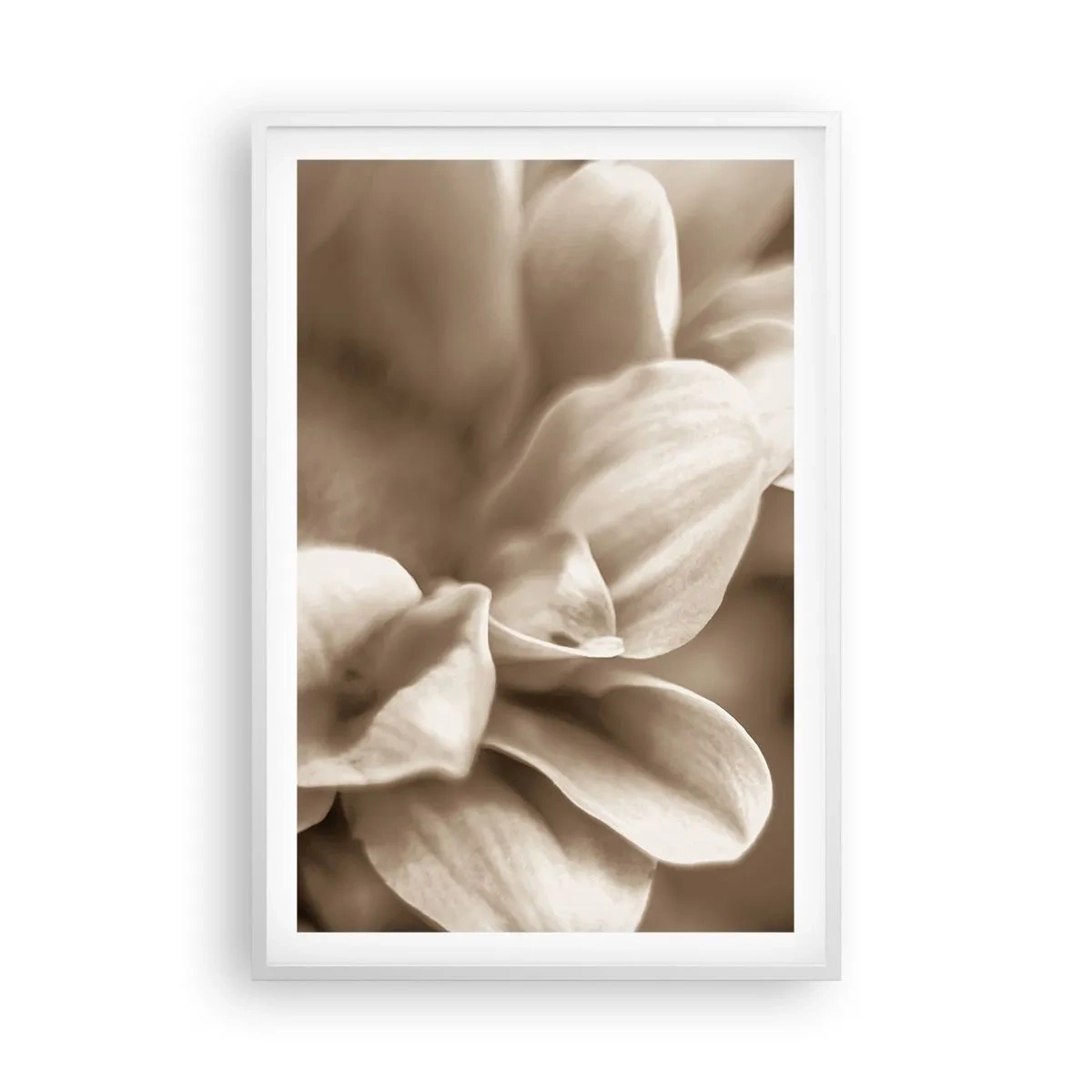 Poster in cornice bianca - Mite come un sorriso - 61x91 cm