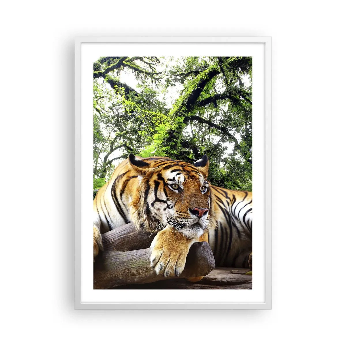 Poster in cornice bianca - Con espressioni di stima - 50x70 cm