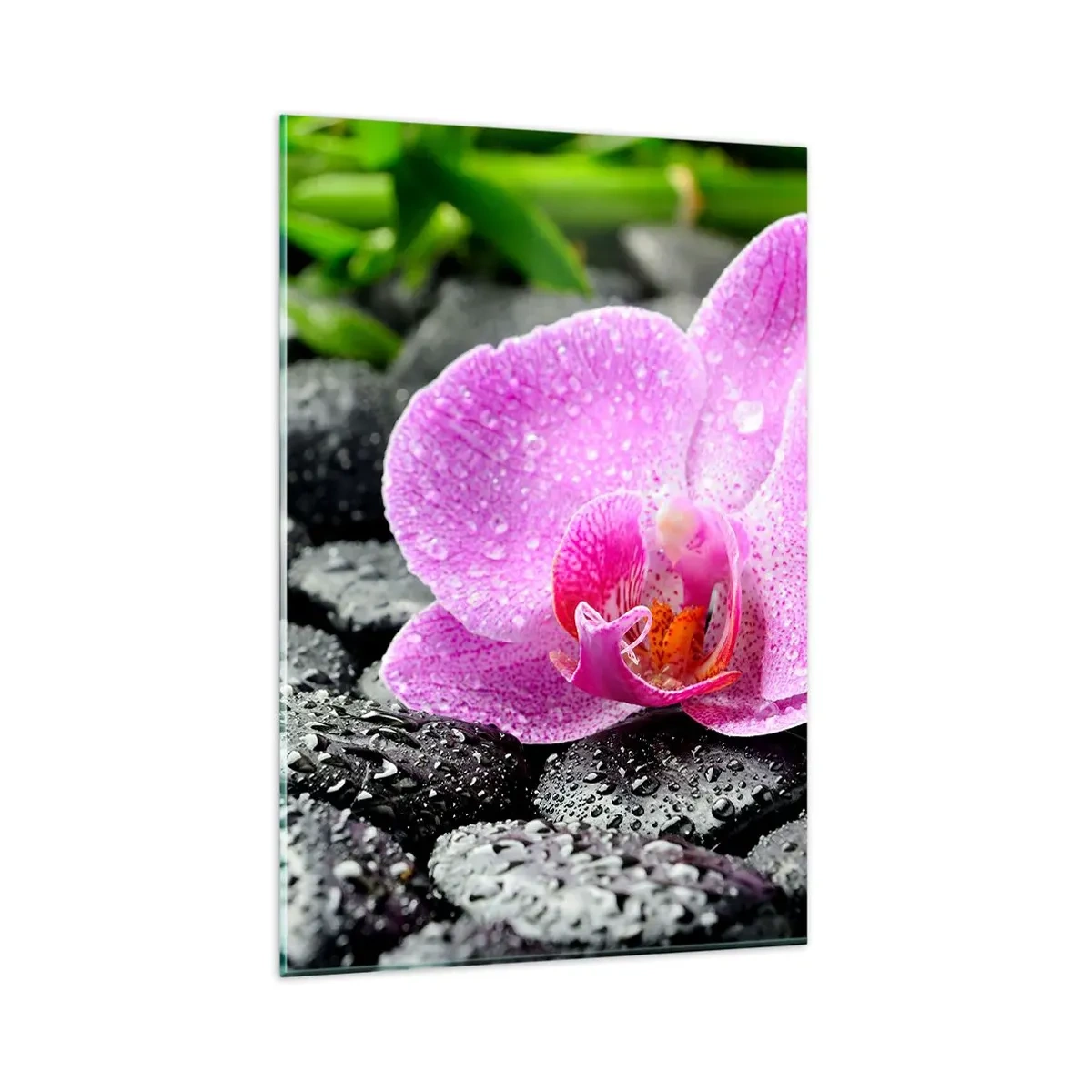 Quadro su vetro - Orchidea rosa su pietre nere bagnate con foglie verdi - 80x120cm - Come un cuore aperto - Decorazione murale moderna per soggiorno e camera da letto ARTTOR