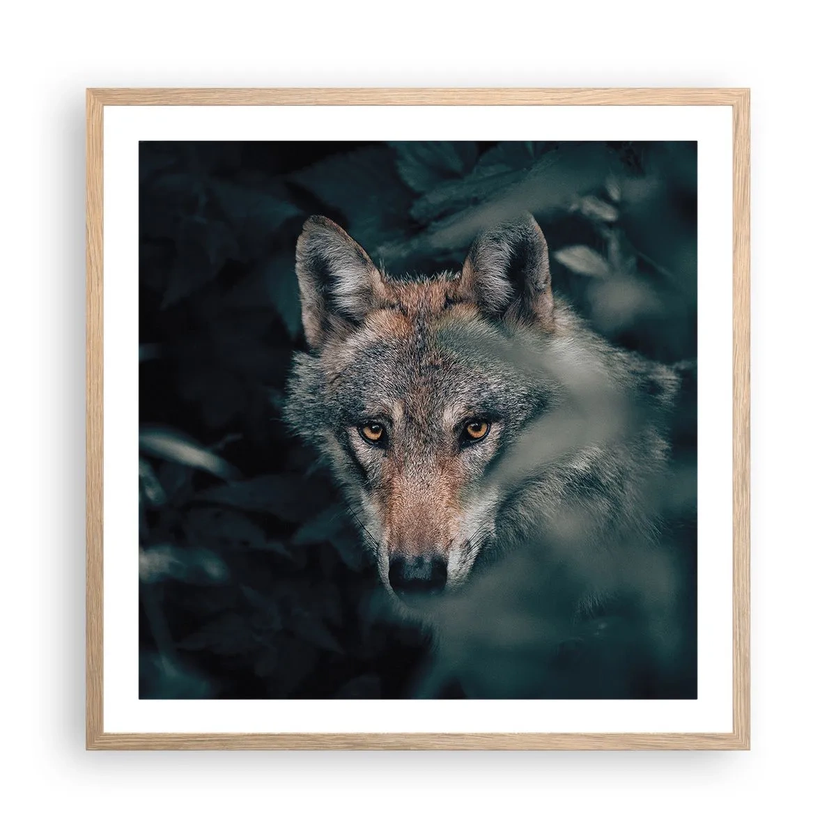 Poster in cornice rovere chiaro - Cacciatore - 60x60 cm