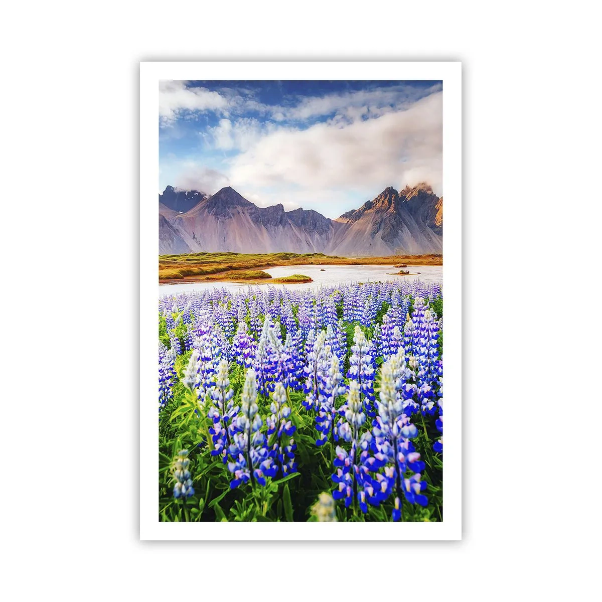 Poster - Forza e asprezza accanto alla mitezza - 61x91 cm