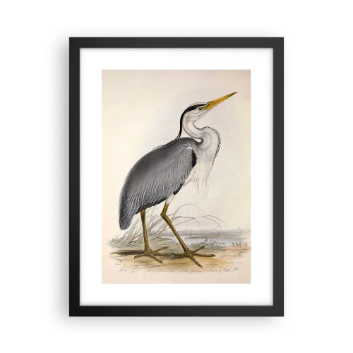 Poster in cornice nera - La grazia dell'airone - 30x40 cm