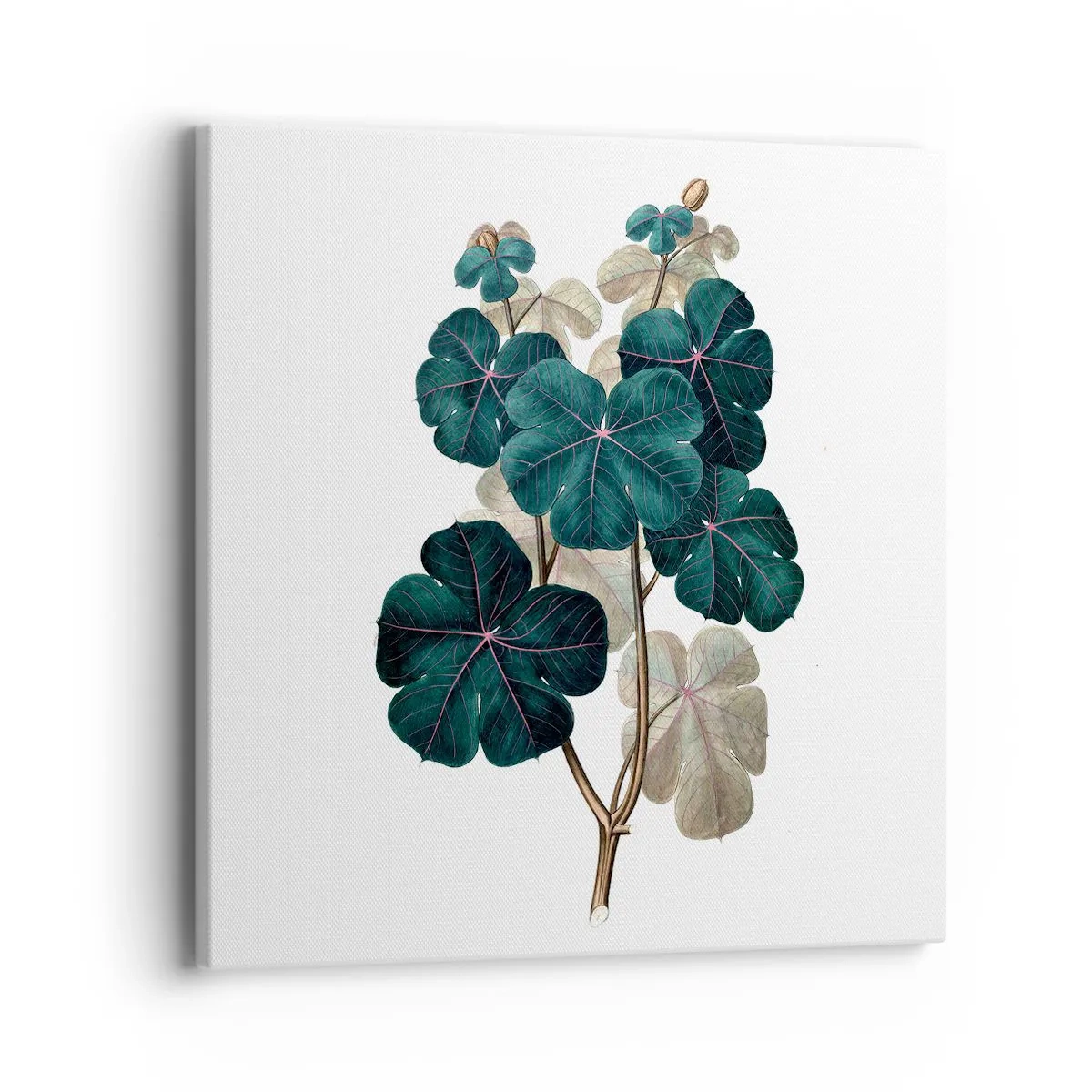 Quadro su tela - Stampe su Tela - Dal vecchio erbario - 40x40 cm