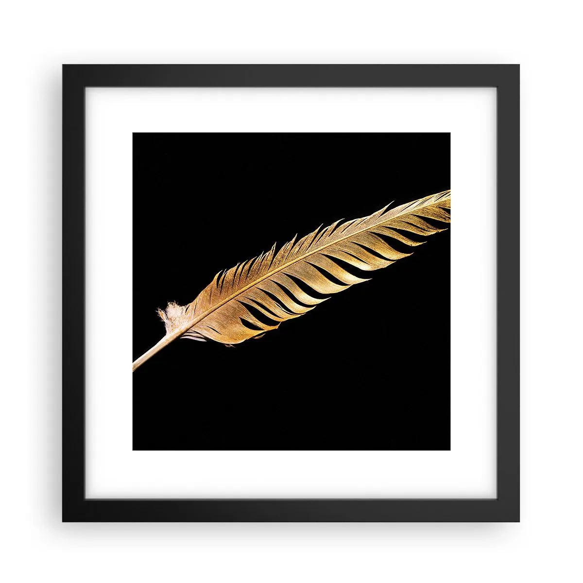 Poster in cornice nera - Non una piuma qualsiasi.... - 30x30 cm