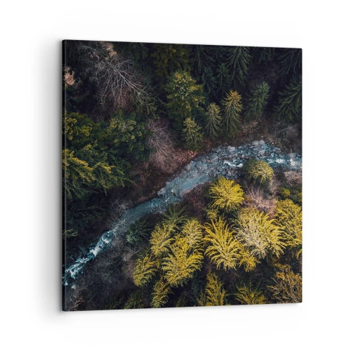 Quadro su tela - Stampe su Tela - Sempre più veloce - 50x50 cm