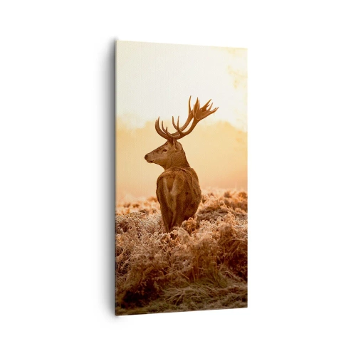 Quadro su tela - Stampe su Tela - Il signore sulle sue terre - 65x120 cm