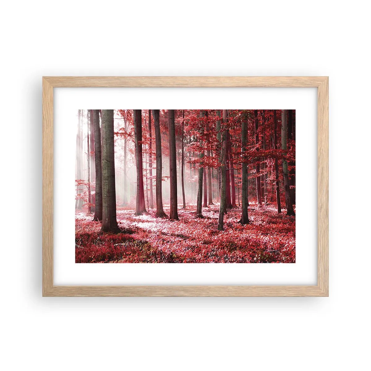 Poster in cornice rovere chiaro - Anche rosso è bello - 40x30 cm