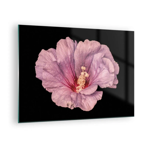 Quadro su vetro - Primo piano di un fiore di ibisco rosa su sfondo nero - 70x50cm - Dritto al cuore - Decorazione murale moderna per soggiorno e camera da letto ARTTOR