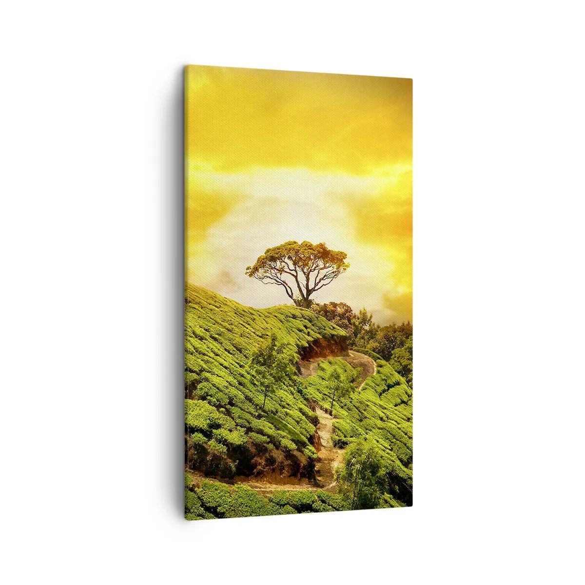 Quadro su tela - Stampe su Tela - Sentiero tortuoso, pendio verde - 45x80 cm