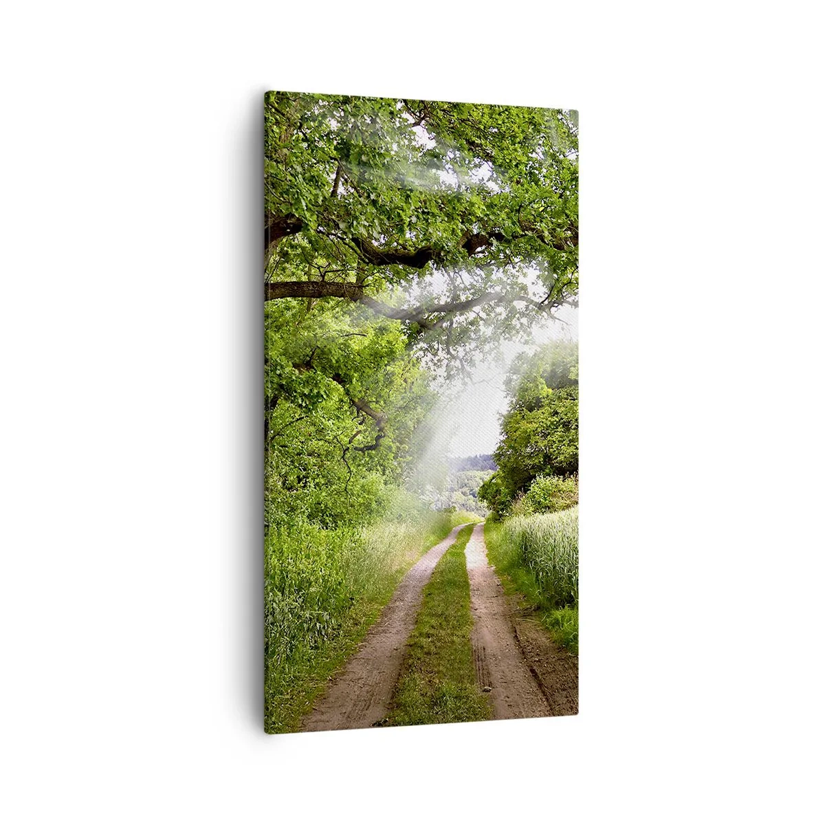 Quadro su tela - Stampe su Tela - Et in Arcadia ego - 55x100 cm