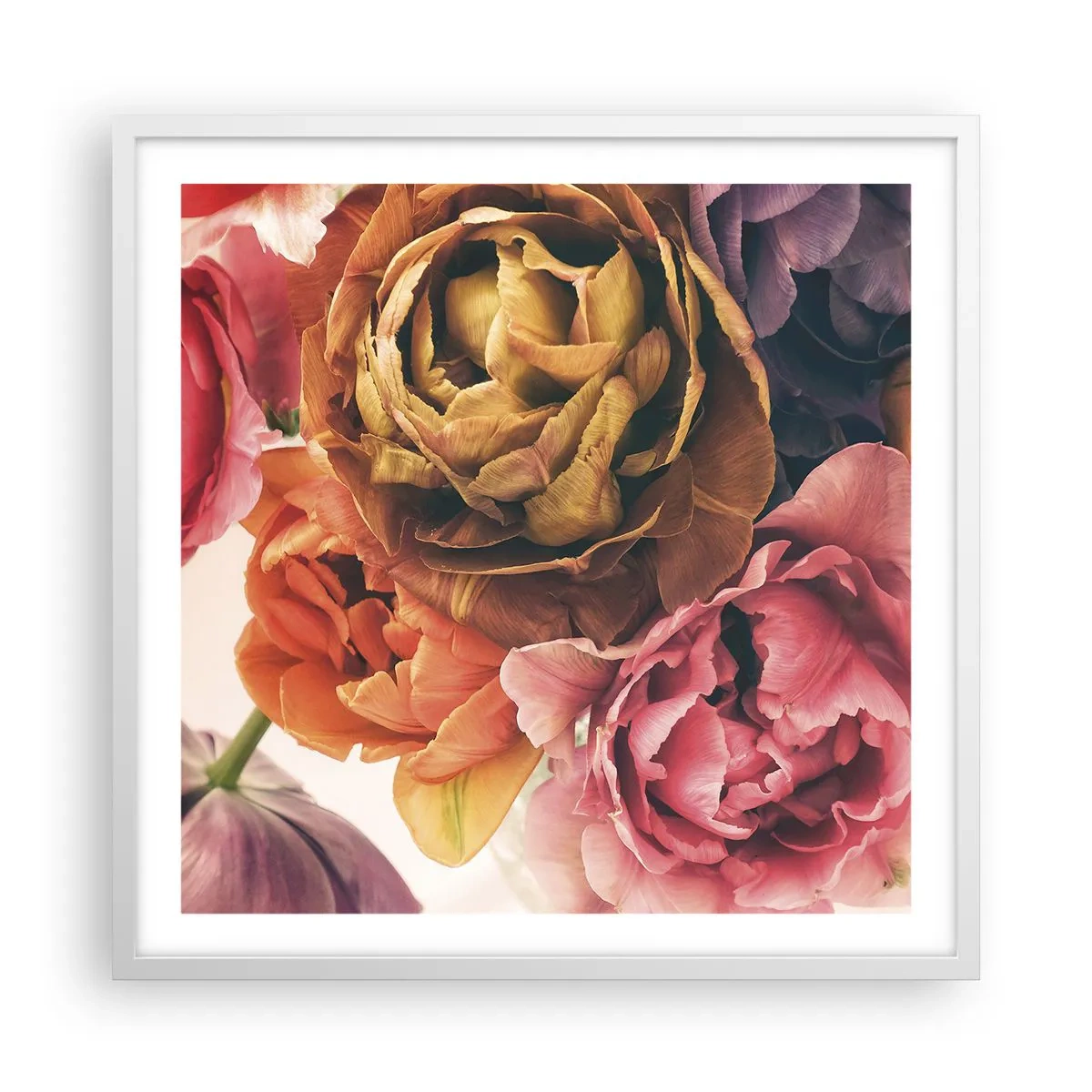 Poster in cornice bianca - La festa della vita - 60x60 cm