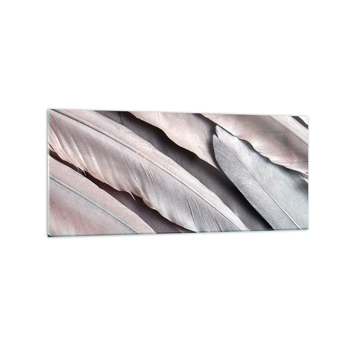 Quadro su vetro - Piume delicate in sottili tonalità di grigio e beige - 120x50cm - Argento rosato - Decorazione murale moderna per soggiorno e camera da letto ARTTOR