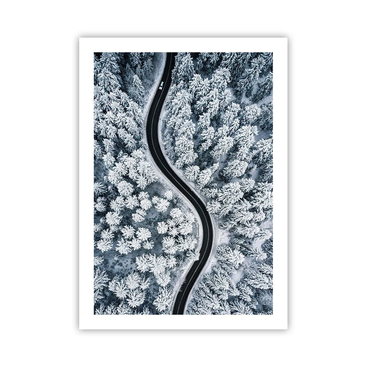 Poster - Una pittoresca strada tra gli alberi innevati vista dall'alto - 50x70cm - Attraverso il bosco invernale - Decorazione murale moderna per soggiorno e camera da letto ARTTOR