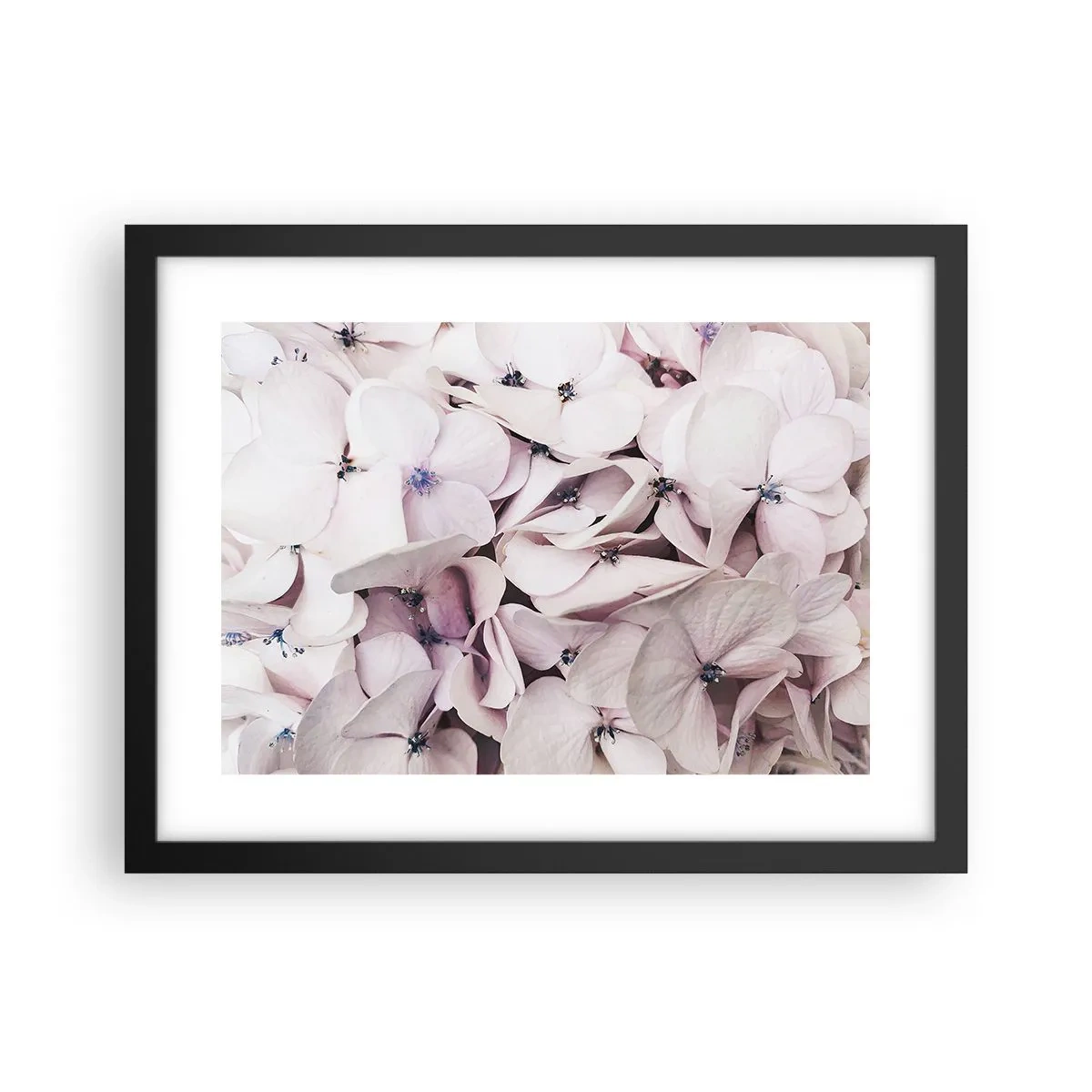 Poster in cornice nera - Un'alluvione di fiori - 40x30 cm