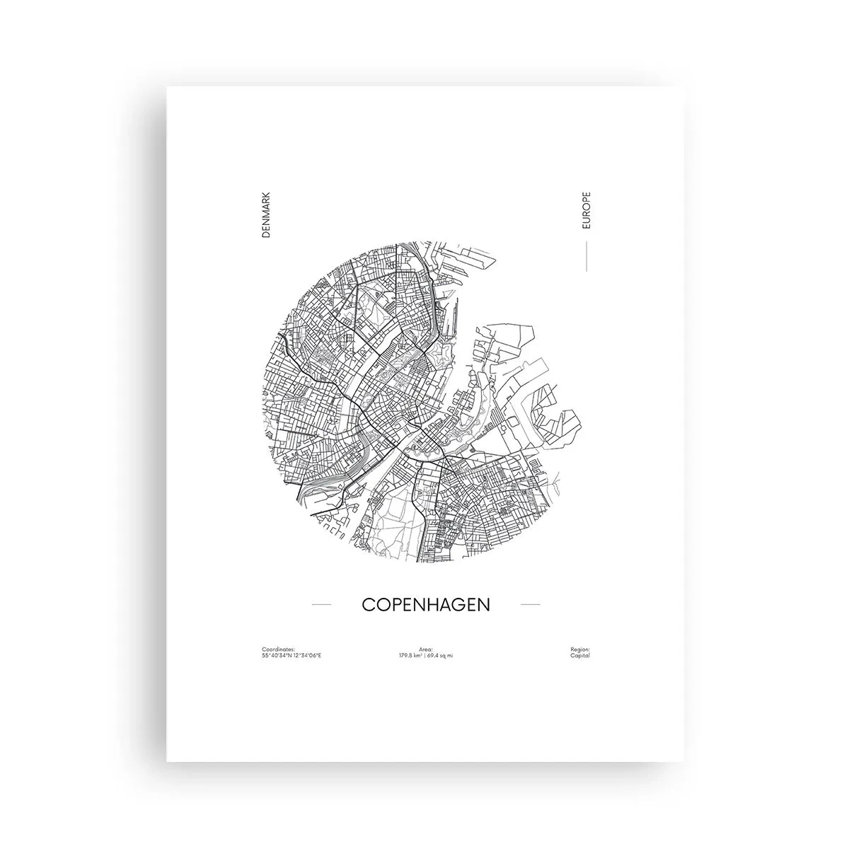 Poster - Anatomia di Copenaghen - 30x40 cm
