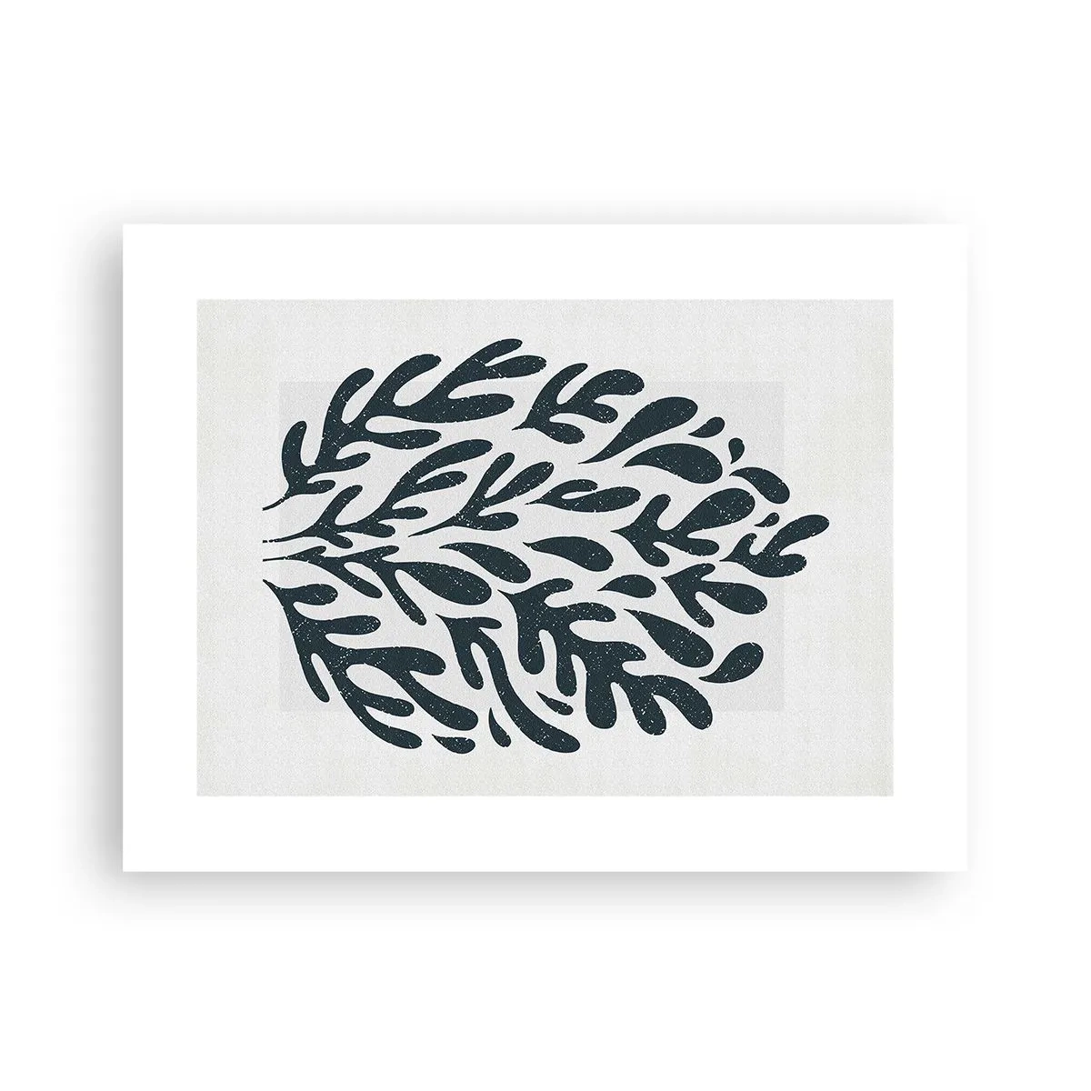 Poster - Le forme della natura - 40x30 cm