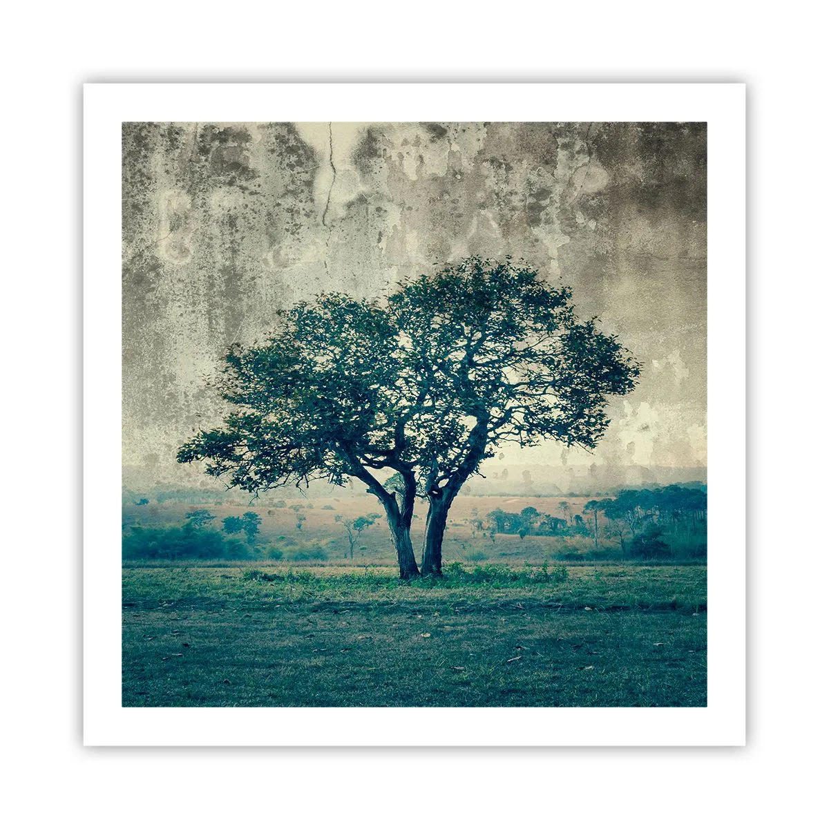 Poster - Un melo su un prato blu? - 60x60 cm
