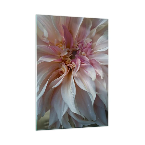 Quadro su vetro - Primo piano di un fiore rosa e crema con gocce d'acqua - 50x70cm - Freschezza in fiore - Decorazione murale moderna per soggiorno e camera da letto ARTTOR