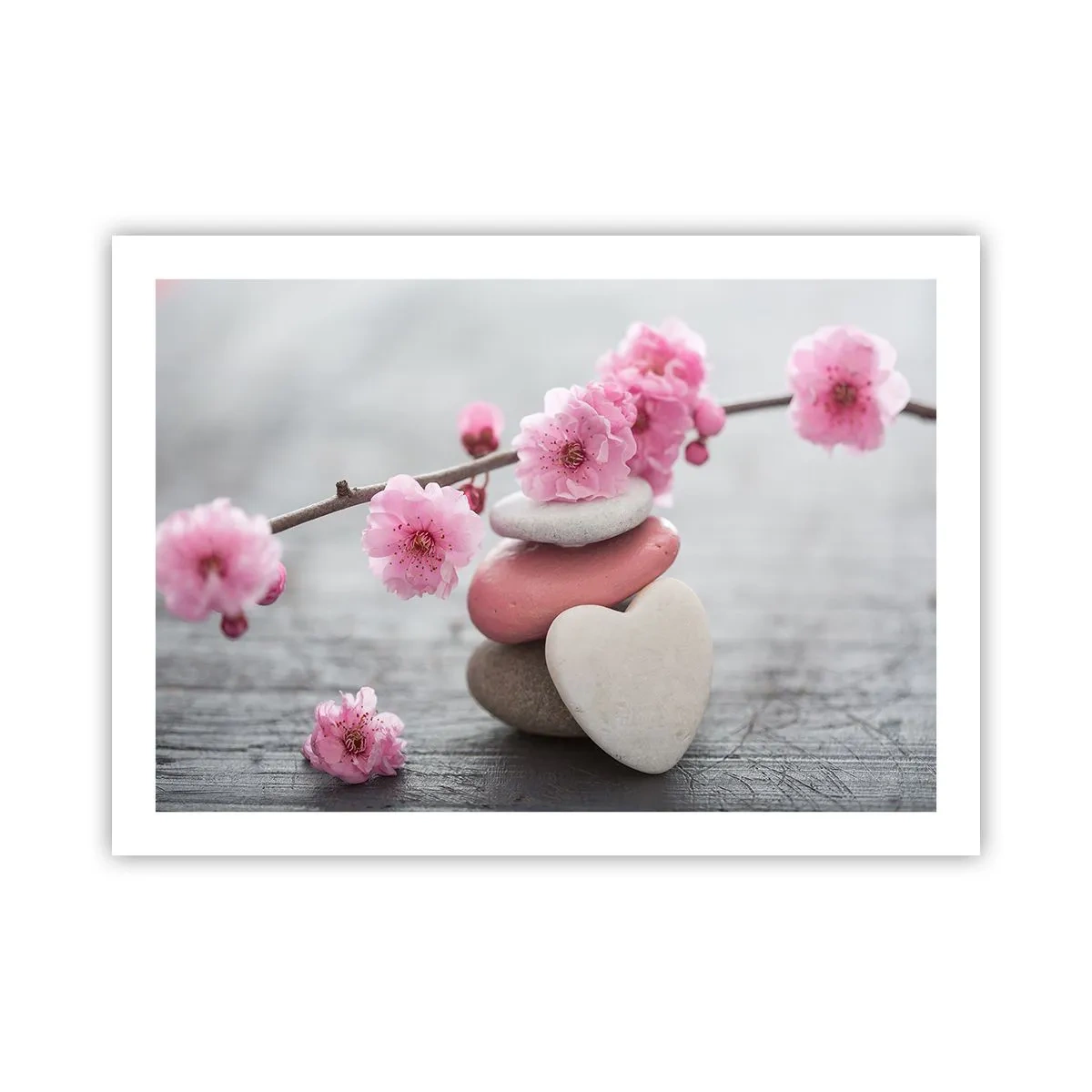 Poster - Serenità con fiori di ciliegio - 70x50 cm
