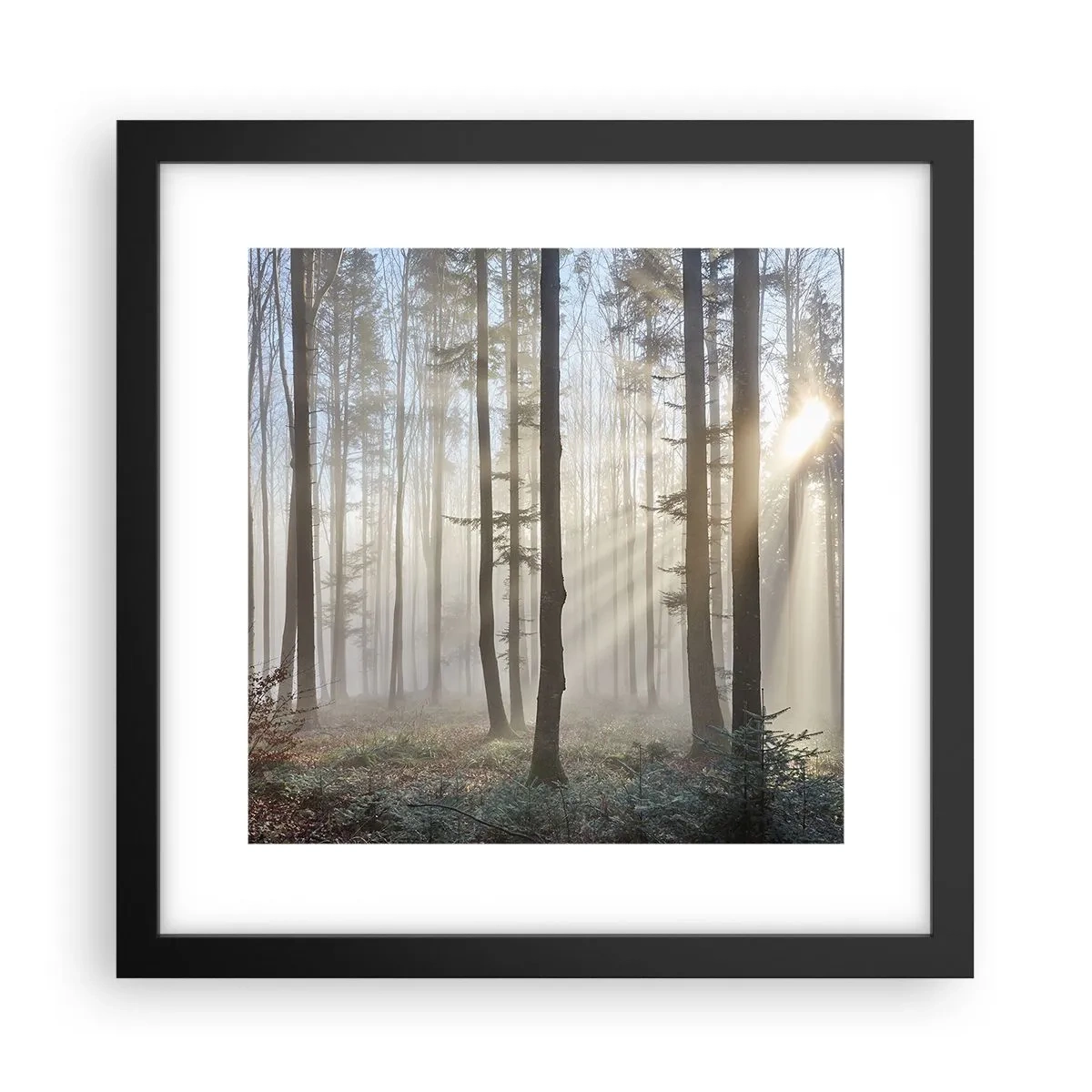 Poster in cornice nera - Anche la nebbia si è svegliata - 30x30 cm