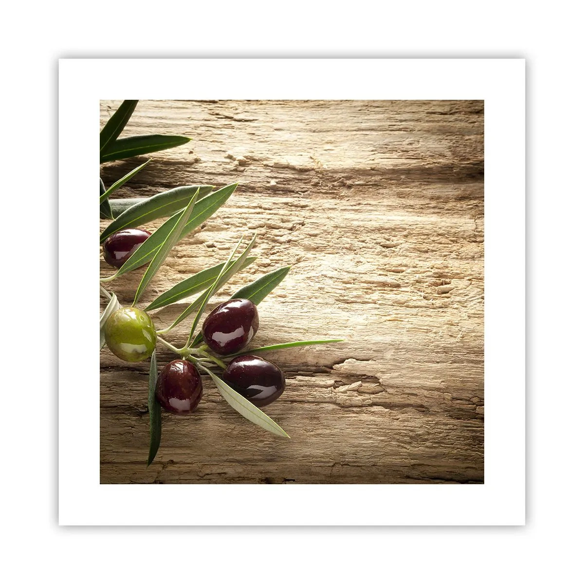 Poster - Direttamente dalla natura - 40x40 cm