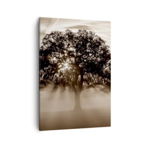 Quadro su tela - Stampe su Tela - Raggi di sole che brillano attraverso un albero solitario - 50x70cm - L'albero delle sole buone notizie - Decorazione murale moderna per soggiorno e camera da letto ARTTOR