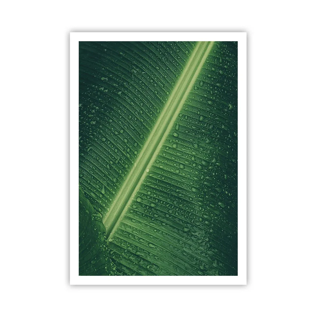 Poster - La struttura del verde - 70x100 cm