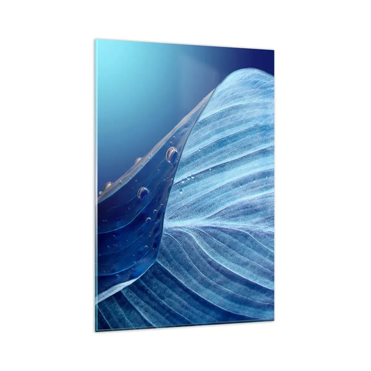Quadro su vetro - Una foglia blu con gocce d'acqua visibili - 80x120cm - Gocce di blu nascoste - Decorazione murale moderna per soggiorno e camera da letto ARTTOR