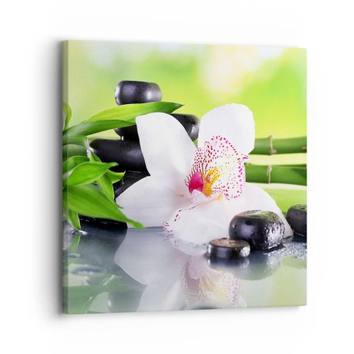 Quadro su tela - Stampe su Tela - Freschezza rinfrescante - 30x30 cm