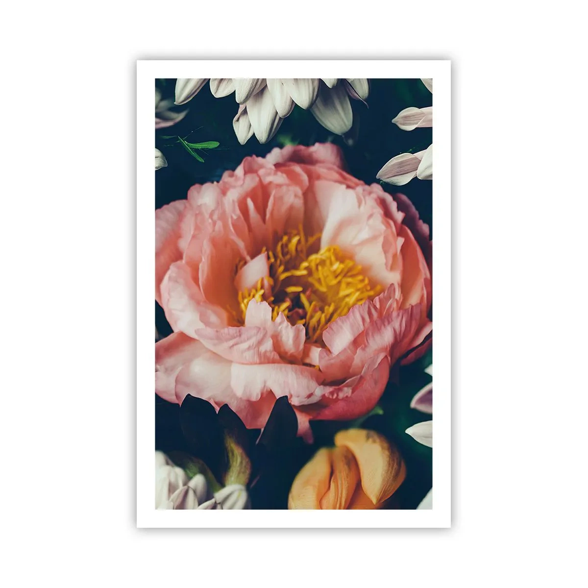 Poster - Con fasto barocco - 61x91 cm