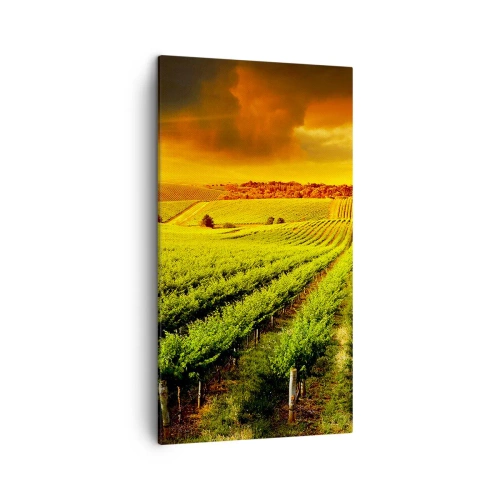 Quadro su tela - Stampe su Tela - Sotto il sole dell'Australia - 45x80 cm