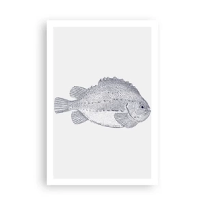 Poster - Nell'album del naturalista - 61x91 cm