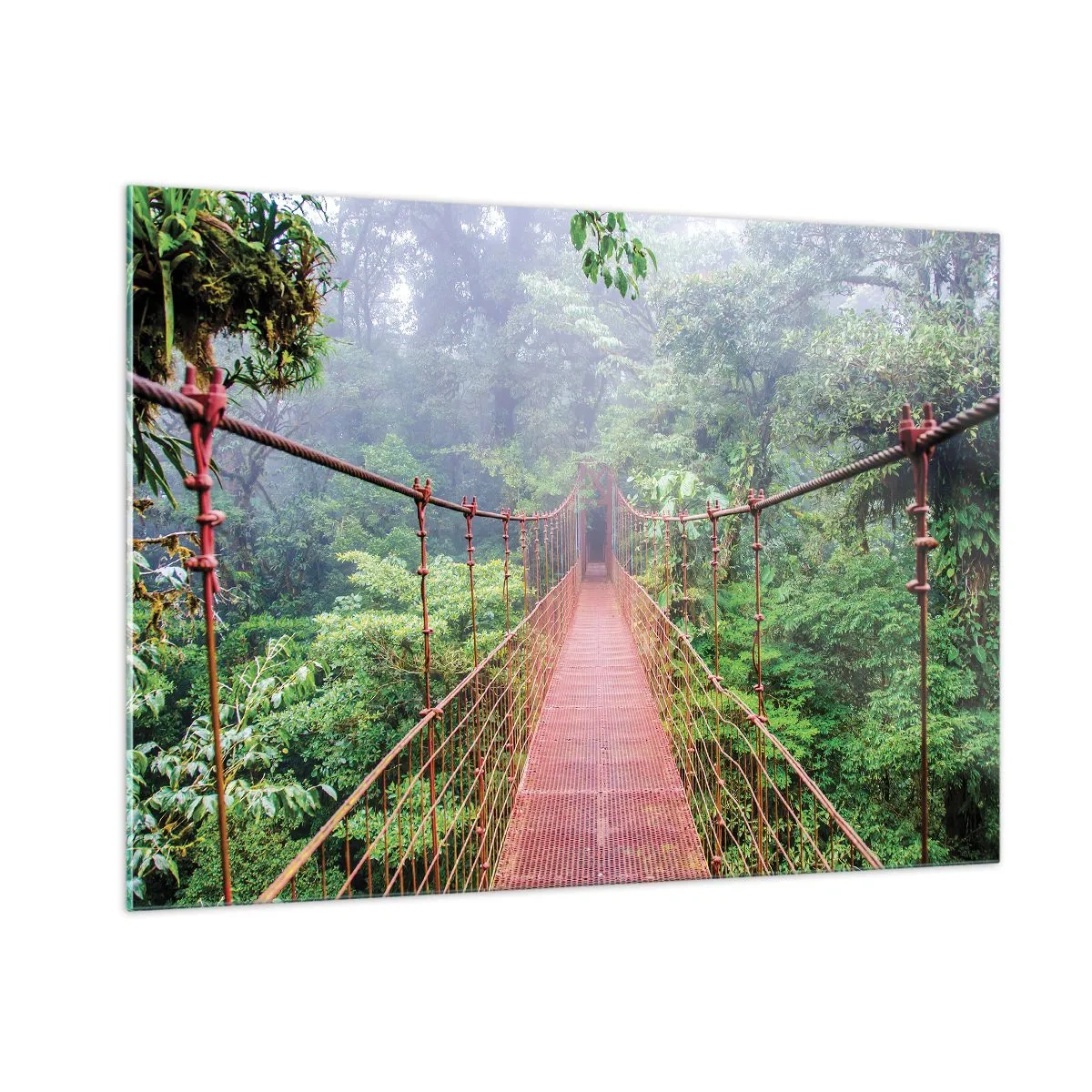 Quadro su vetro - Un ponte sospeso rosso sopra una giungla verde nella nebbia - 100x70cm - Sospeso sopra gli alberi - Decorazione murale moderna per soggiorno e camera da letto ARTTOR