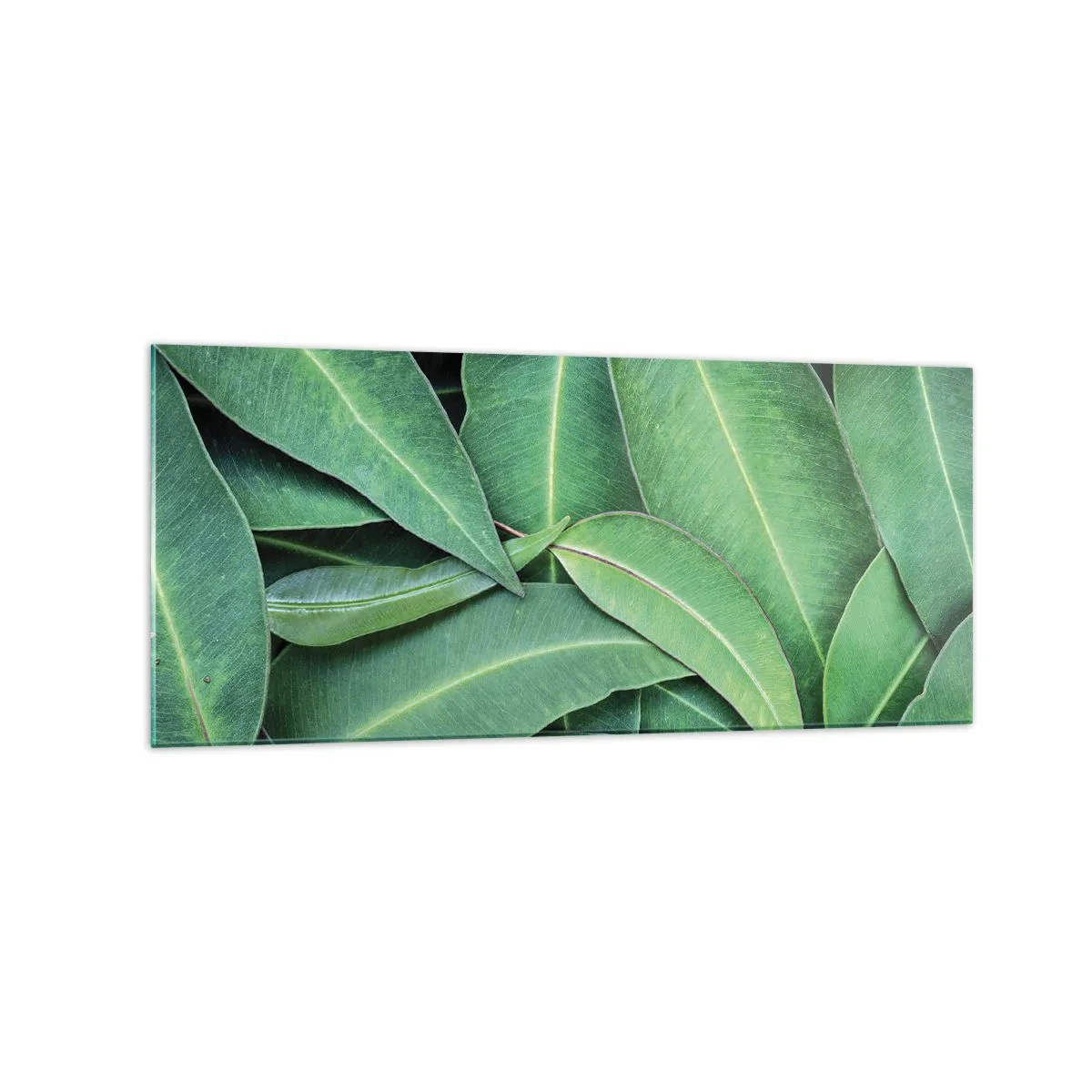 Quadro su vetro - Primo piano di foglie verdi che creano un motivo naturale - 120x50cm - Succosi e freschi - Decorazione murale moderna per soggiorno e camera da letto ARTTOR