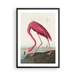 Poster in cornice nera - Un fenicottero rosa contro un paesaggio naturale - 50x70cm - Creazione affascinante - Decorazione murale moderna per soggiorno e camera da letto ARTTOR