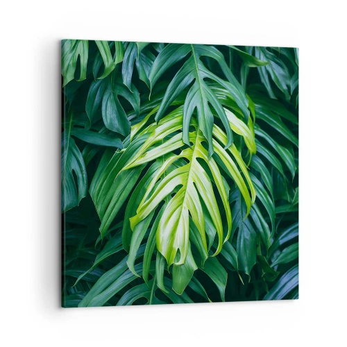 Quadro su tela - Stampe su Tela - Immergersi nella freschezza - 50x50 cm