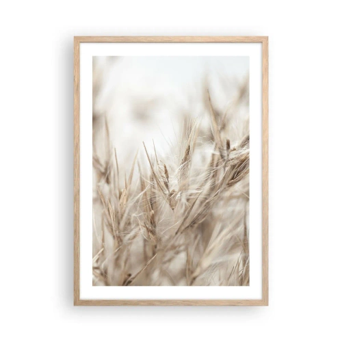 Poster in cornice rovere chiaro - Prato e vento - 50x70 cm