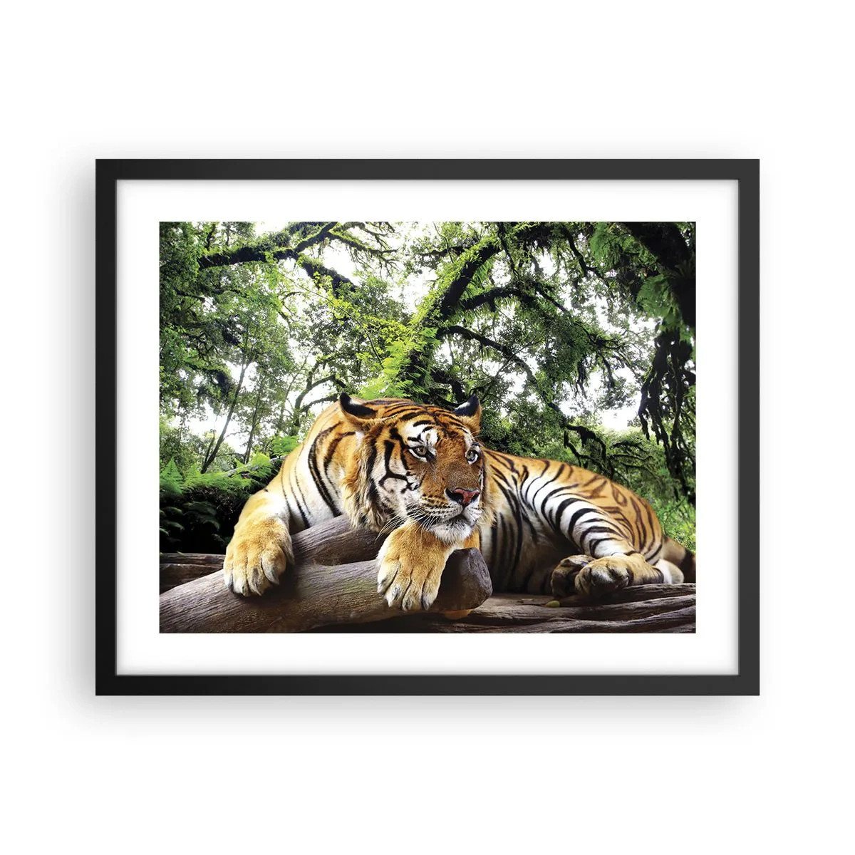 Poster in cornice nera - Con espressioni di stima - 50x40 cm