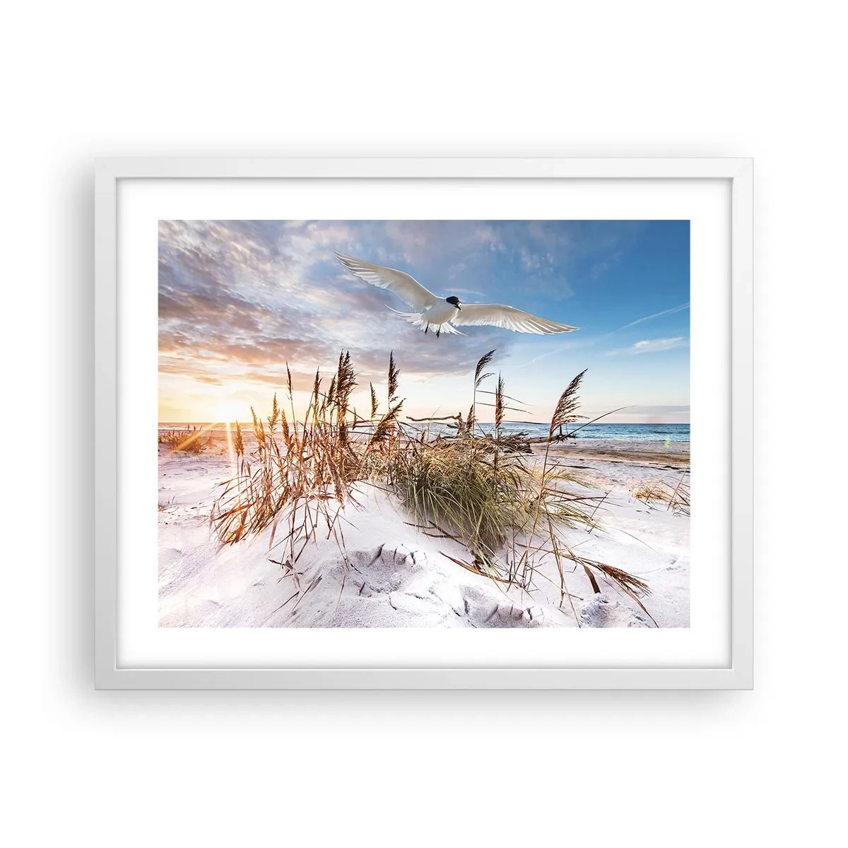 Poster in cornice bianca - Vento dal mare - 50x40 cm