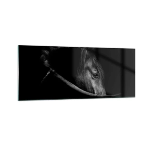 Quadro su vetro - Il principe nero - 100x40 cm