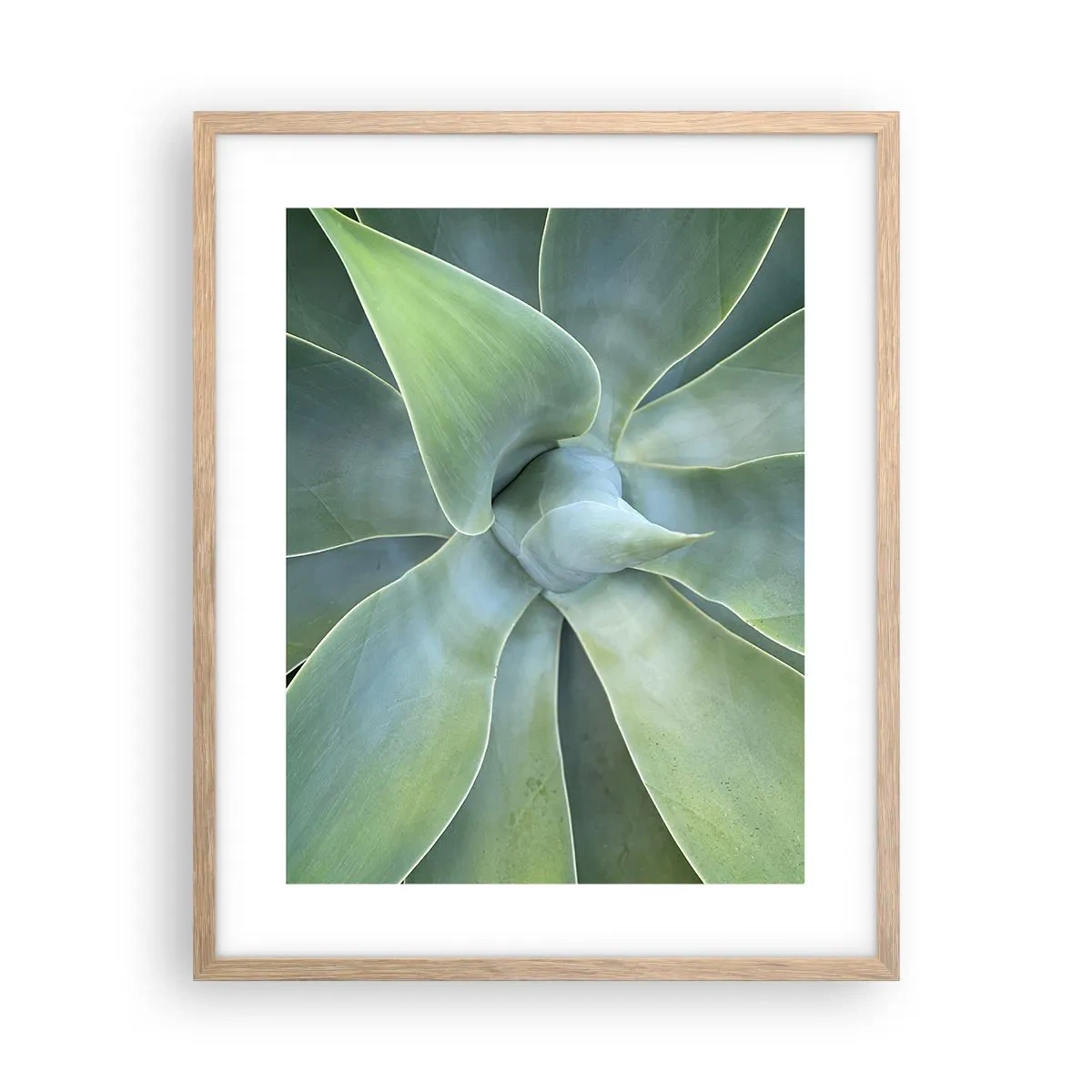 Poster in cornice rovere chiaro - La nascita del verde - 40x50 cm