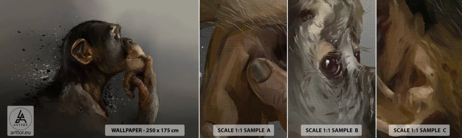 Campione di Fotomurale Premium Canvas - Sicuramente un pensatore - Animali, Scimmia, Pezzo - 100x30 cm