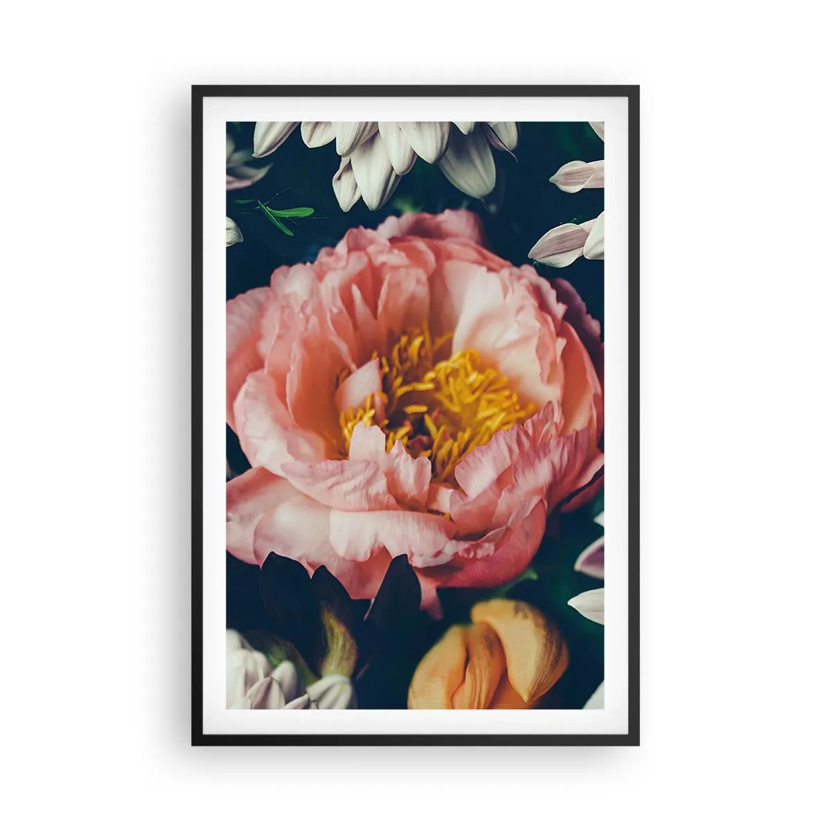 Poster in cornice nera - Con fasto barocco - 61x91 cm