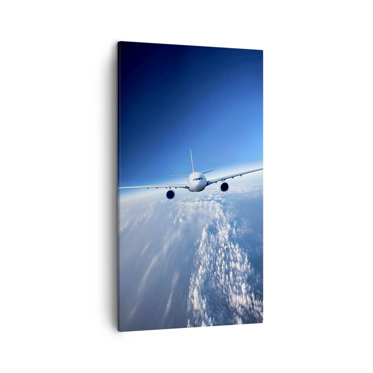 Quadro su tela - Stampe su Tela - Voglia di volare - 45x80 cm