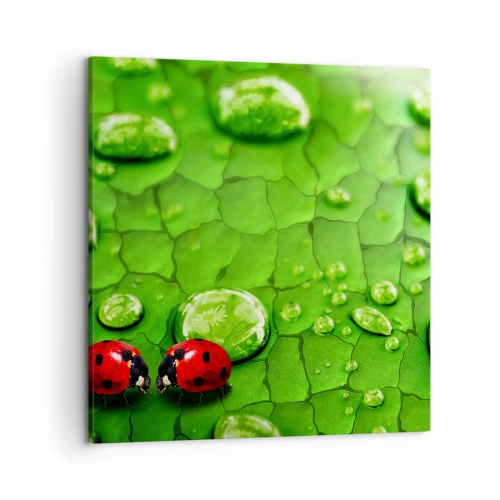 Quadro su tela - Stampe su Tela - Incontro in verde - 50x50 cm